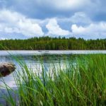 De beste gullsmed i Aurskog-Høland