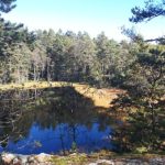 De beste Gullsmed i Spydeberg